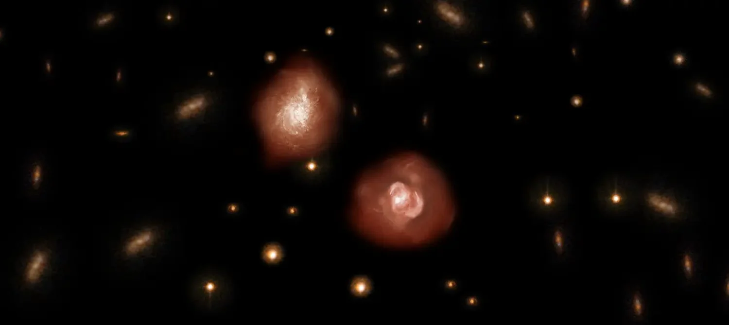 ALMA finds large numbers of massive galaxies in the early universe