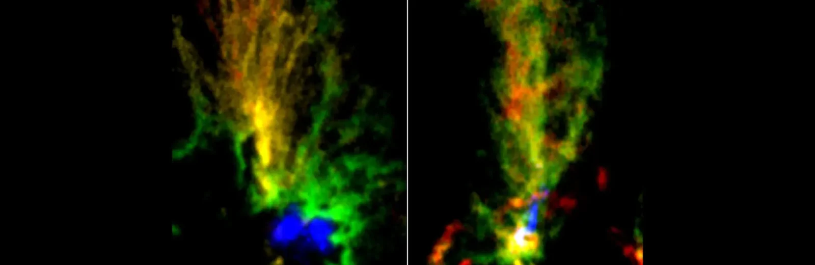 Star-spawning ‘peacock clouds’ hint at galaxy interaction